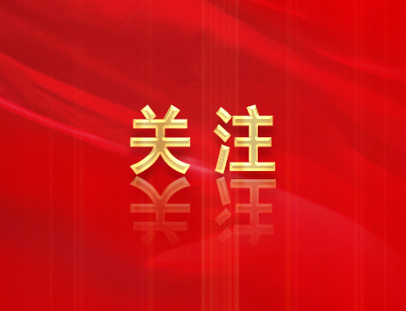 哪些行為屬于不執行黨中央決策部署？相關的處分規定有哪些？